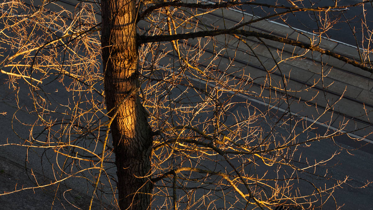 Brandenburg an der Havel im abendlichen Frühlingslicht